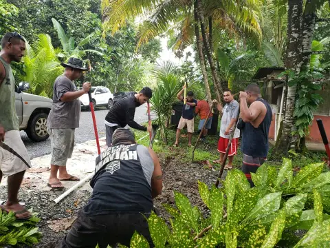 Malemites in Action photo